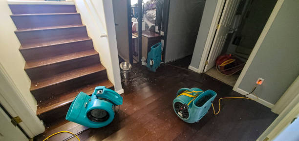 Best Professional water damage repair  in Pulaski, NY