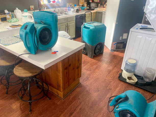 Best Carpet water damage restoration  in Pulaski, NY