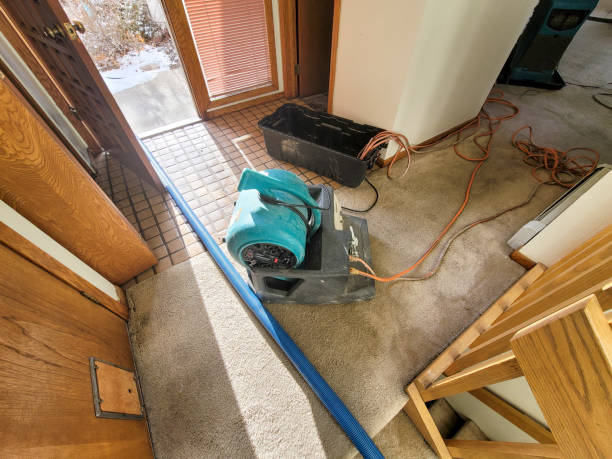 Best 24-hour water damage restoration  in Pulaski, NY