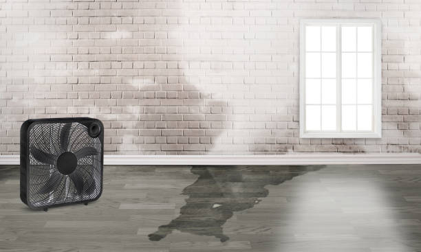 Pulaski, NY Water damage restoration Company
