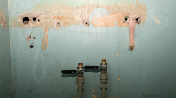 Best Emergency water damage restoration  in Pulaski, NY