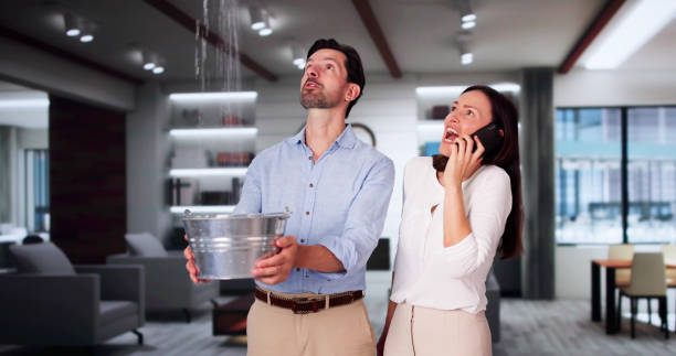 Best Fire Damage Restoration  in Pulaski, NY